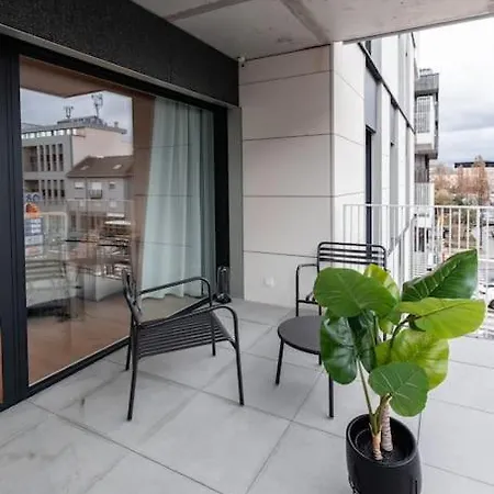 Henry's Appt With A Private 412 - Shared Kitchen *